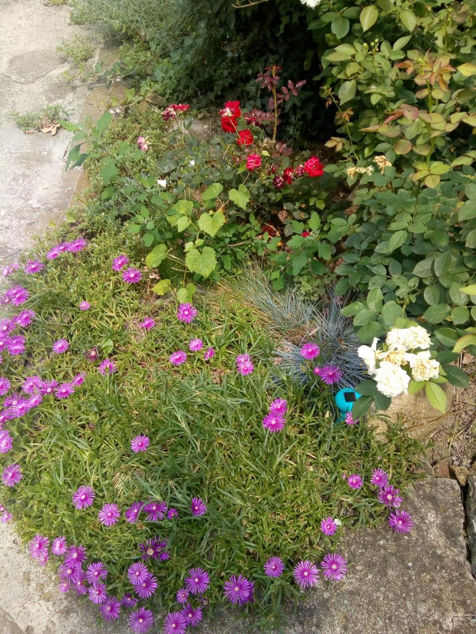 Beograd - Apartman "Gardos" מראה חיצוני תמונה